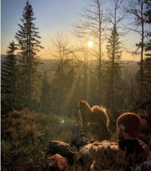 skjermbilde 2023 05 11 kl 10 31 41